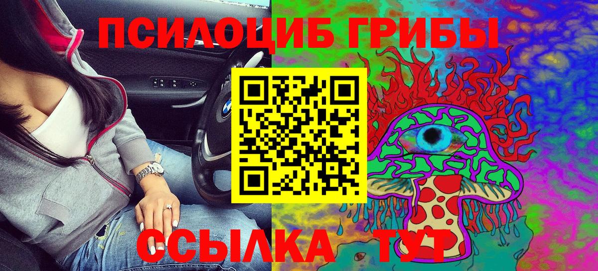 Псилоцибиновые грибы Cubensis Павловский Посад